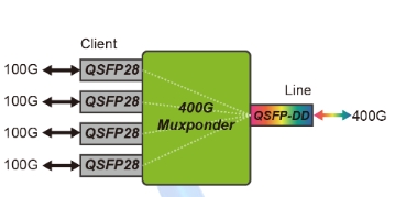 400g-muxponder-qdd_02.png 400g-muxponder-qdd_02.png